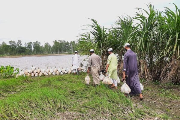 বন্যার্তদের মাঝে ত্রাণ